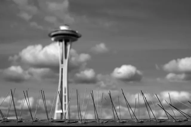 DNA Bridge, Seattle, WA