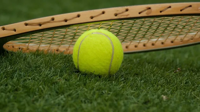 Penn Tennis Balls